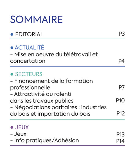 Sommaire du Magazine ECHO 85 - BATI-MAT-TP CFTC